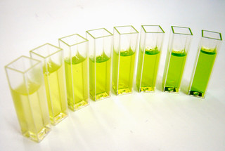 chlorophyll sample